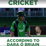 Cricket according to a comedian