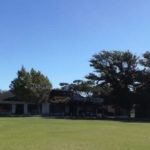 Amateur cricket training permitted