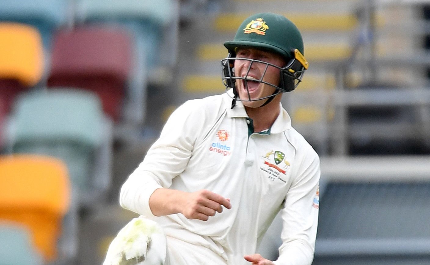 BRISBANE, AUSTRALIA - NOVEMBER 24: Marnus Labuschagne of Australia appeals to the umpire after he thought he'd taken a catch but is denied by the third umpire during day four of the 1st Domain Test between Australia and Pakistan at The Gabba on November 24, 2019 in Brisbane, Australia. (Photo by Bradley Kanaris/Getty Images)