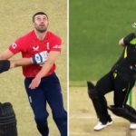 Matthew Wade obstruction