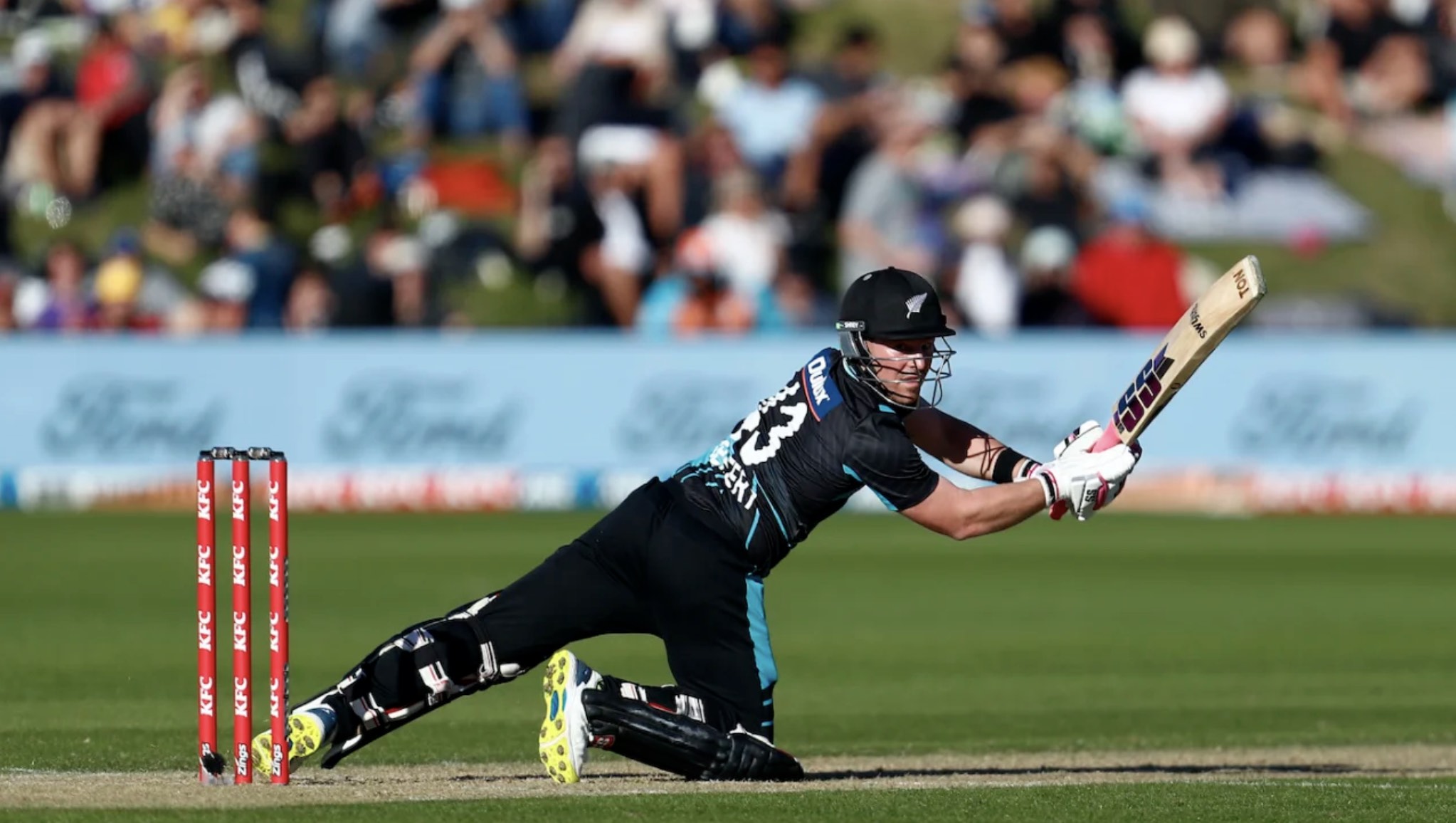 Seifert blasts Black Caps to T20I series win