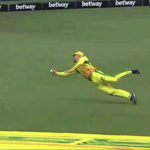 Watch: Faf blinder sends Brevis packing