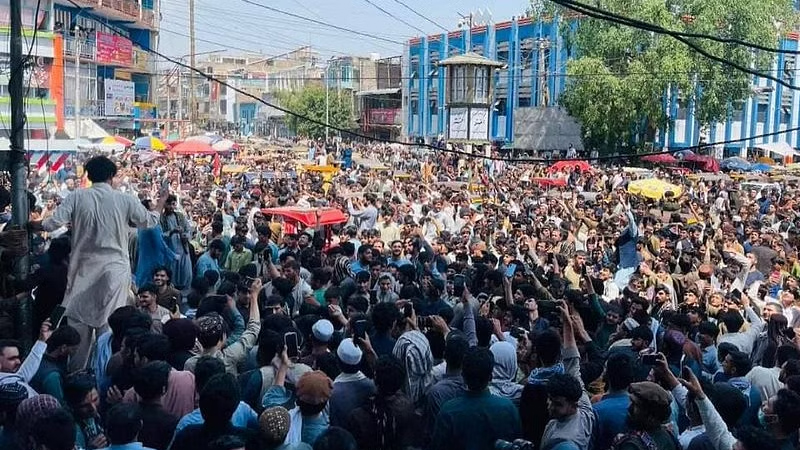Afghanistan celebrate T20 World Cup