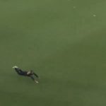 Watch: Marnus' amazing catch