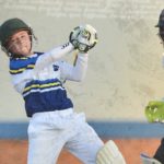 The Dewald Brevis Story