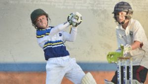 The Dewald Brevis Story